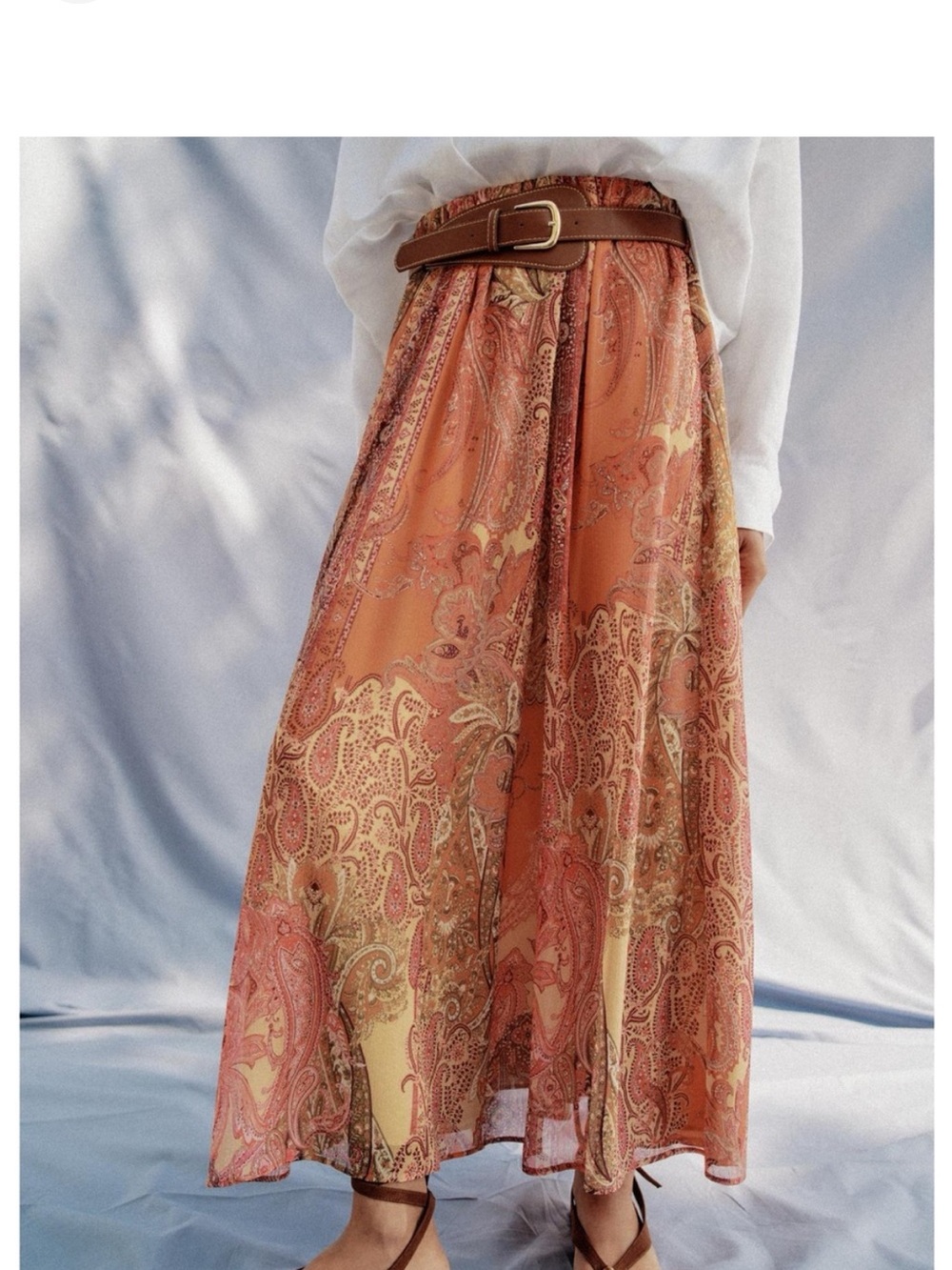 Zara Rust Paisley Print Maxi Skirt with Gold Accents
